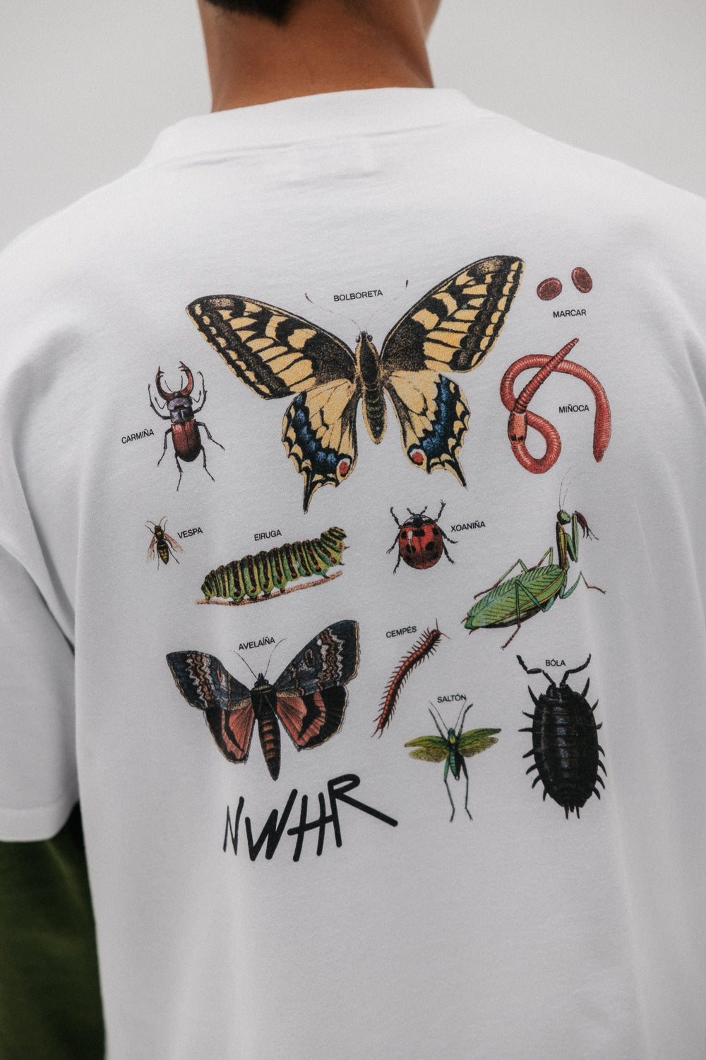 Insects Oversized T-shirt Made Of Organic Cotton